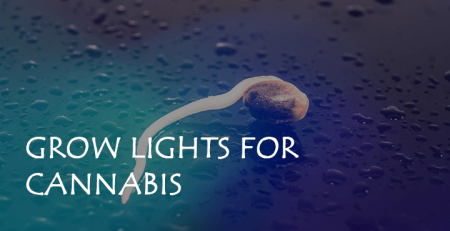 grow lights for cannabis