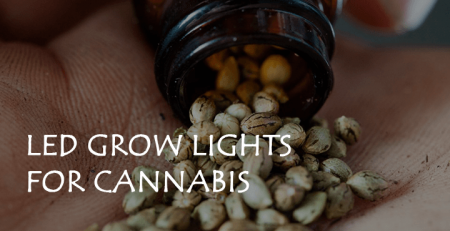 led grow lights for cannabis