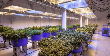 Air Circulation and Exhaust Tutorial for Your Marijuana Grow Room
