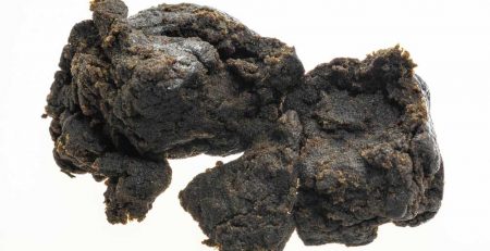How to Make Dry Ice Hash from Trim or Bud