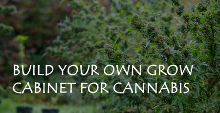 build your own grow cabinet for cannabis