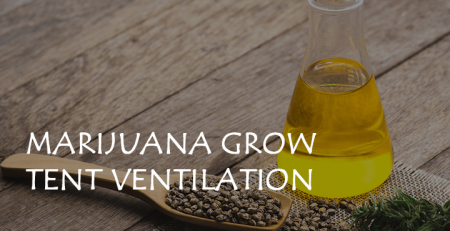marijuana grow tent ventilation