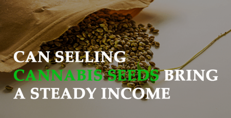 can selling cannabis seeds bring a steady income to retail store owners