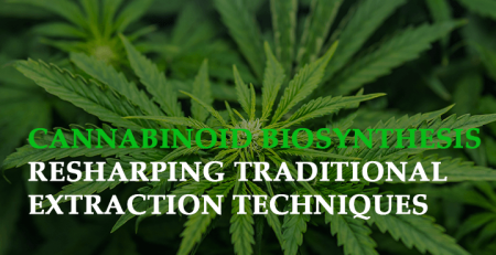 cannabinoid biosynthesis reshaping traditional extraction techniques