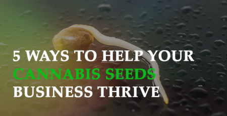 cannabis seeds at wholesale prices 5 ways to help your cannabis seeds business thrive