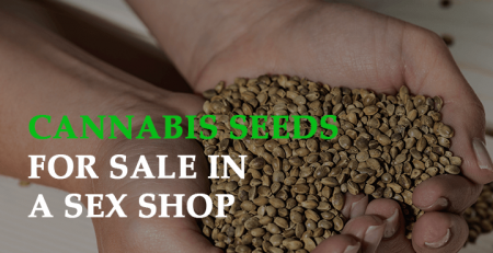 cannabis seeds for sale in a sex shop unlimited prospective gains