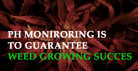 ph monitoring is essential to guarantee weed growing success