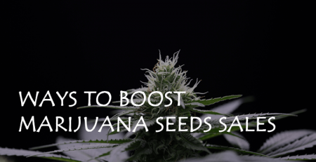 ways to boost marijuana seeds sales