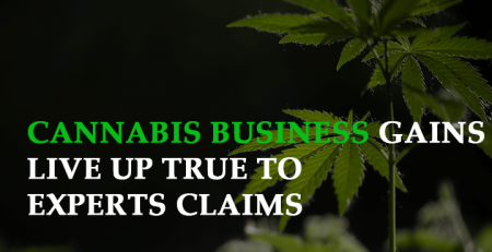 will the expected cannabis business gains live up true to experts claims