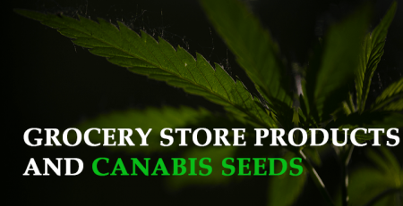 your grocery store products and cannabis seeds will get along like coffee and milk here are the top 3 reasons why