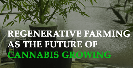 the science behind regenerative farming as the future Of cannabis growing