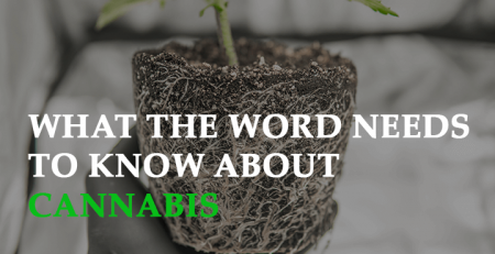 what the world needs to know about cannabis made eco car