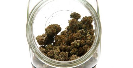 Best Way to Store Weed