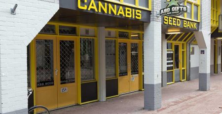 Can You Trust Online Cannabis Seed Banks 1