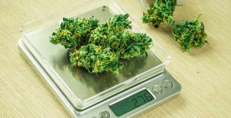 How Much Weed Does One Plant Produce