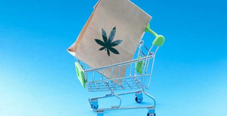 How to Choose the Best Seed Bank