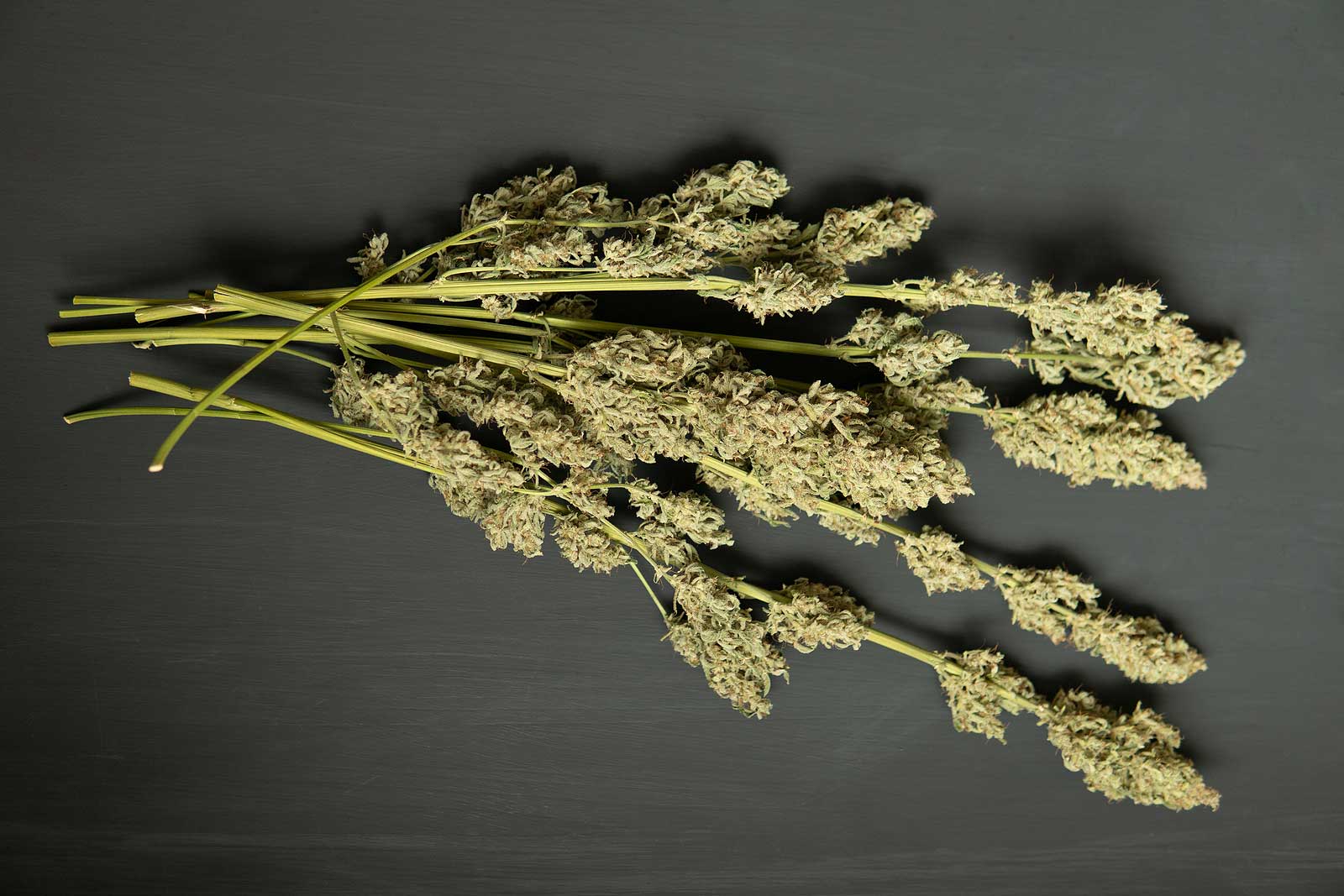 How to Dry Weed the Right Way