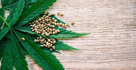 How to Find Seeds in Weed