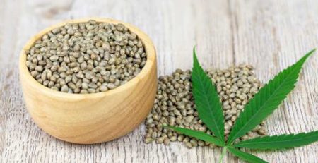 The Role of Marijuana Seed Banks