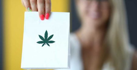 What You Need To Know About Online Seed Banks