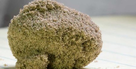 What is Kief and What to Do with It 1