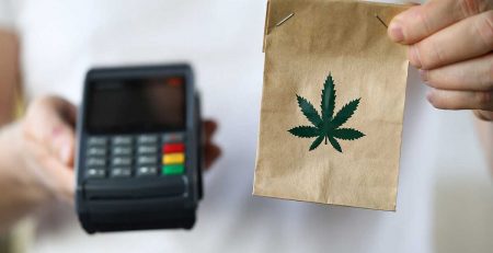 Tips in Buying Cannabis Seeds