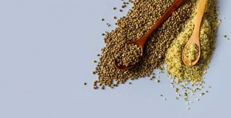 Top Marijuana Seeds in 2020