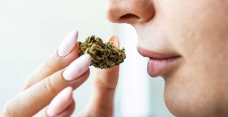 Top 10 Strongest Marijuana Strains