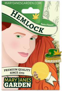 Hemlock Package Mock Up 1 1