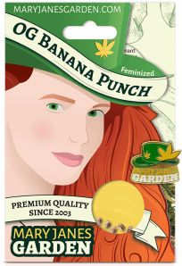 OG Banana Punch Package Mock Up 2 1