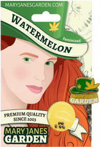 Watermelon Package Mock Up 1 1
