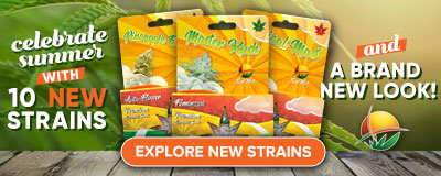 sunwest new strains